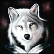 White333Wolf